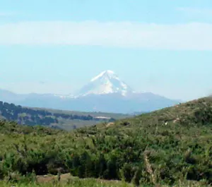 El Volcán Lanín