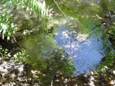 Ojos del Caburgua